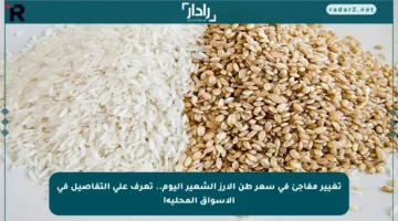 تغيير مفاجئ في سعر طن الأرز الشعير اليوم.. تعرف على التفاصيل في الأسواق المحلية!
